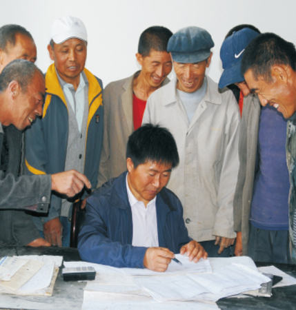 收高粱 收高粱